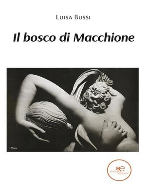 cover image of Il bosco di Macchione